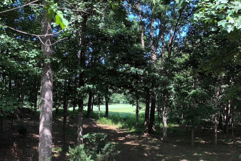Photo of Outdoor in Nellysford