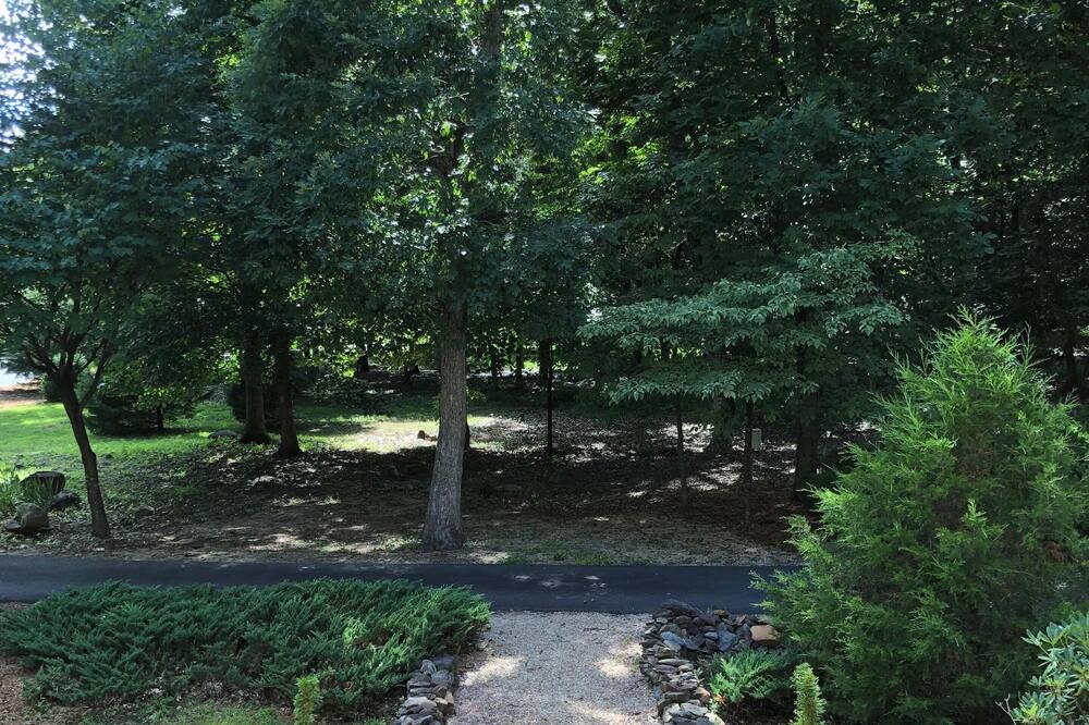 Photo of Outdoor in Nellysford