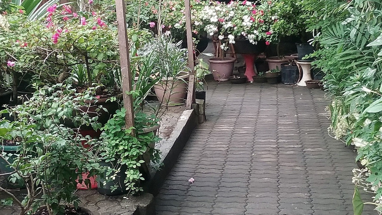 Photo of Outdoor in Glan