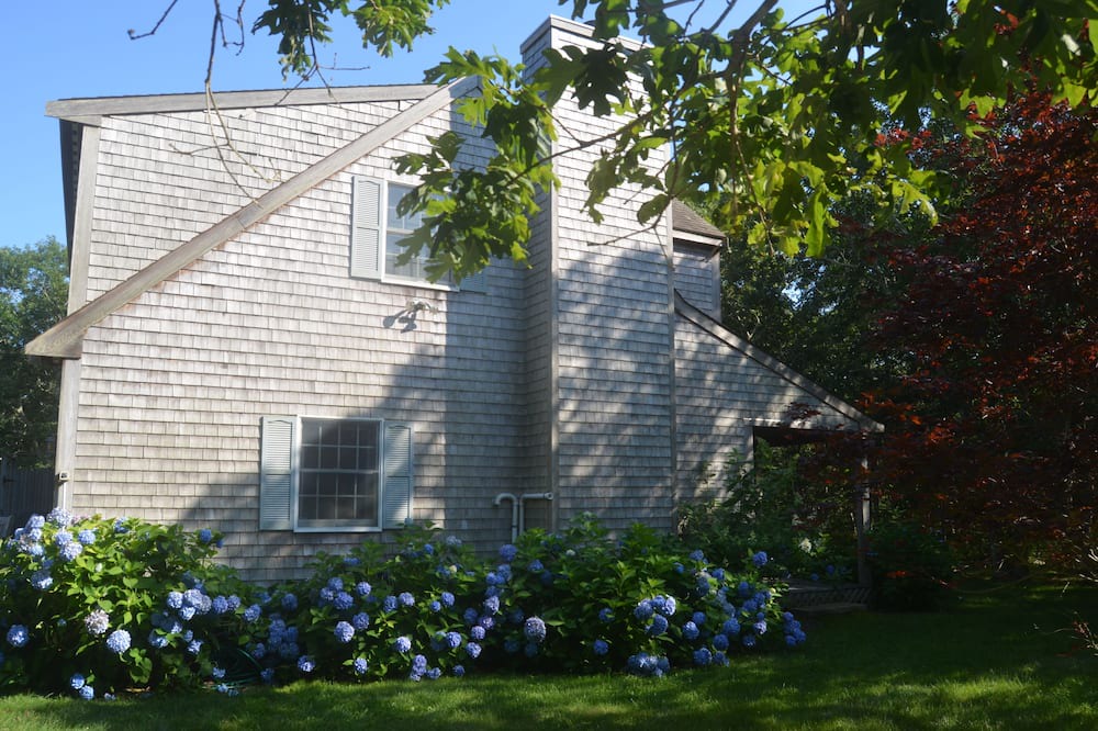 Photo of Others in Chilmark