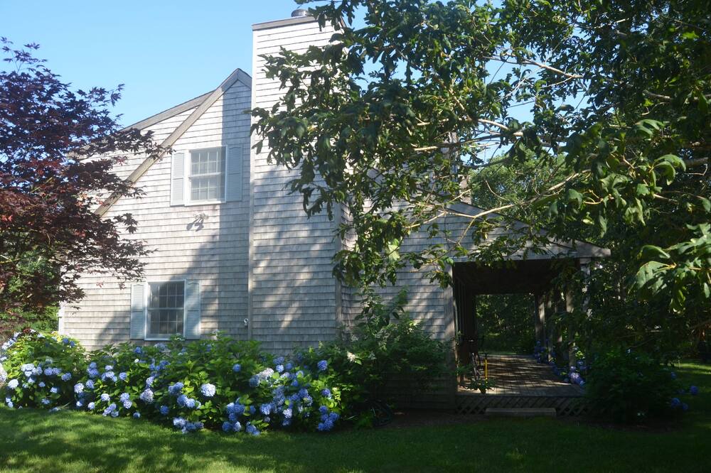 Photo of Others in Chilmark