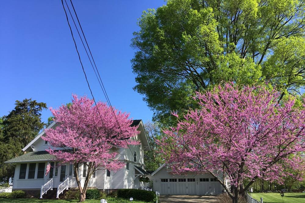 Photo of Others in West Newton