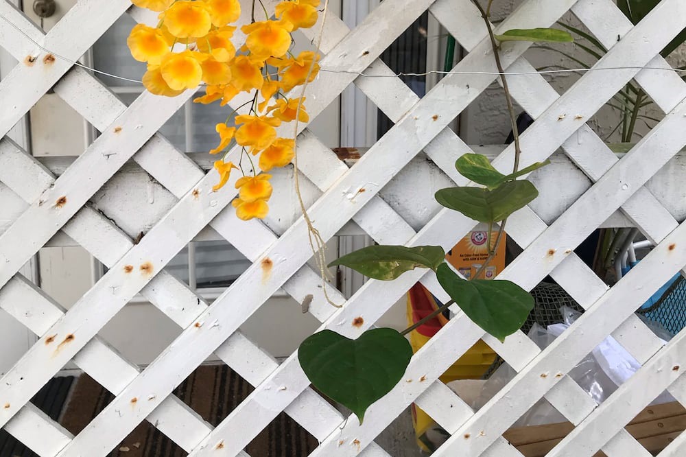Photo of Outdoor in Northeast Coconut Grove
