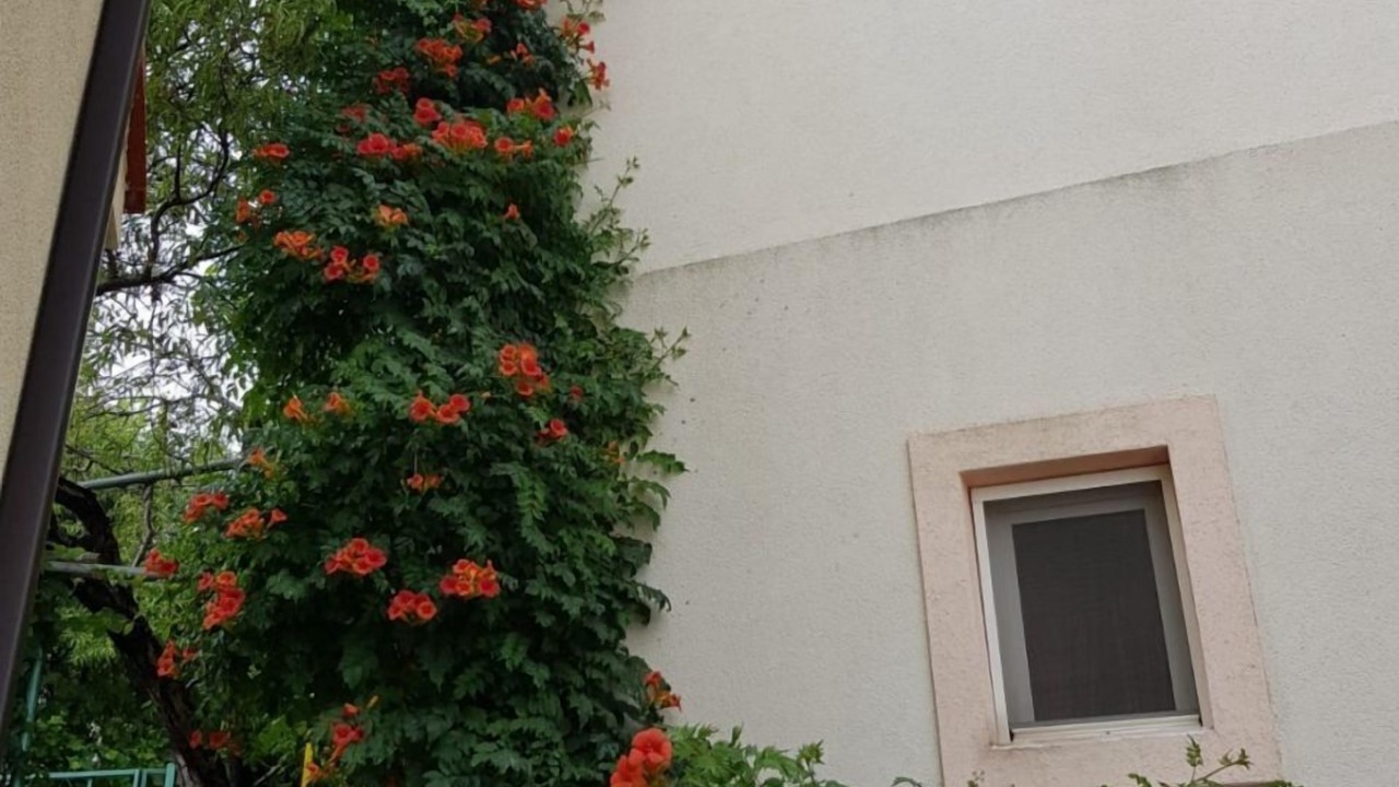 Photo of Outdoor in Igrane
