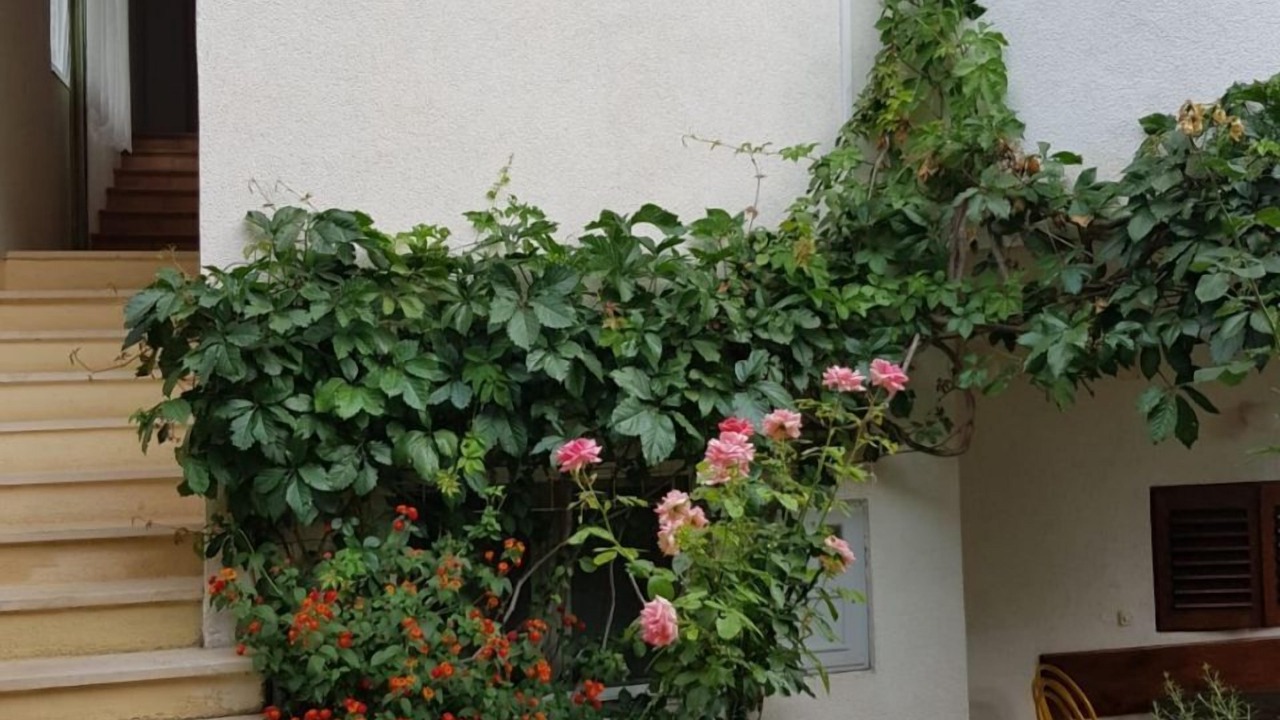 Photo of Outdoor in Igrane