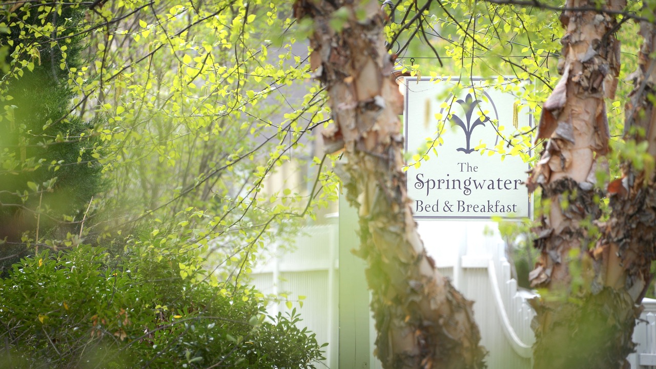 Photo of Outdoor in Saratoga Springs