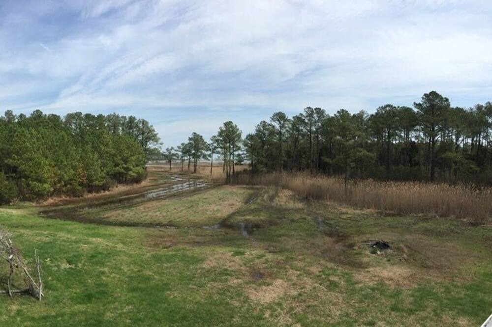 Photo of Outdoor in Bavon