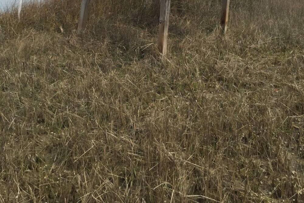 Photo of Others in Bavon