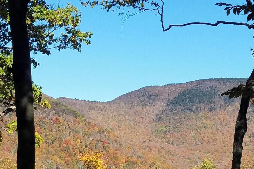 Photo of Others in Lake Hill