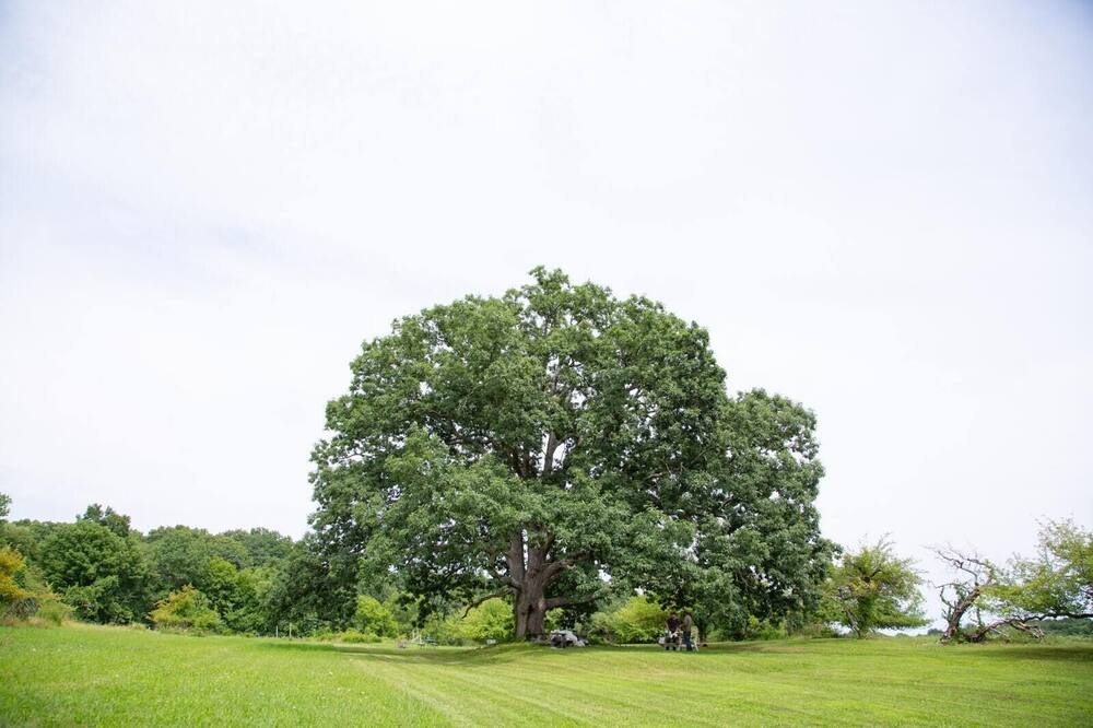 Photo of Others in Town of Marbletown