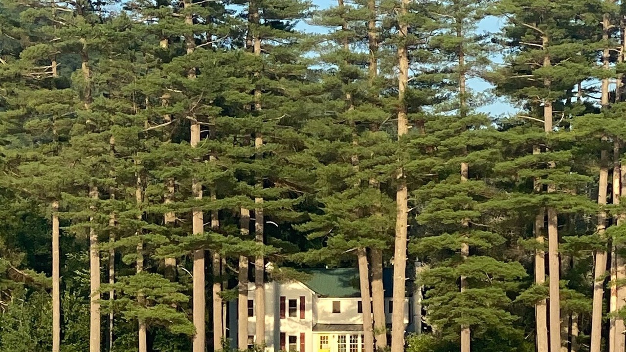 Photo of Outdoor in Wells