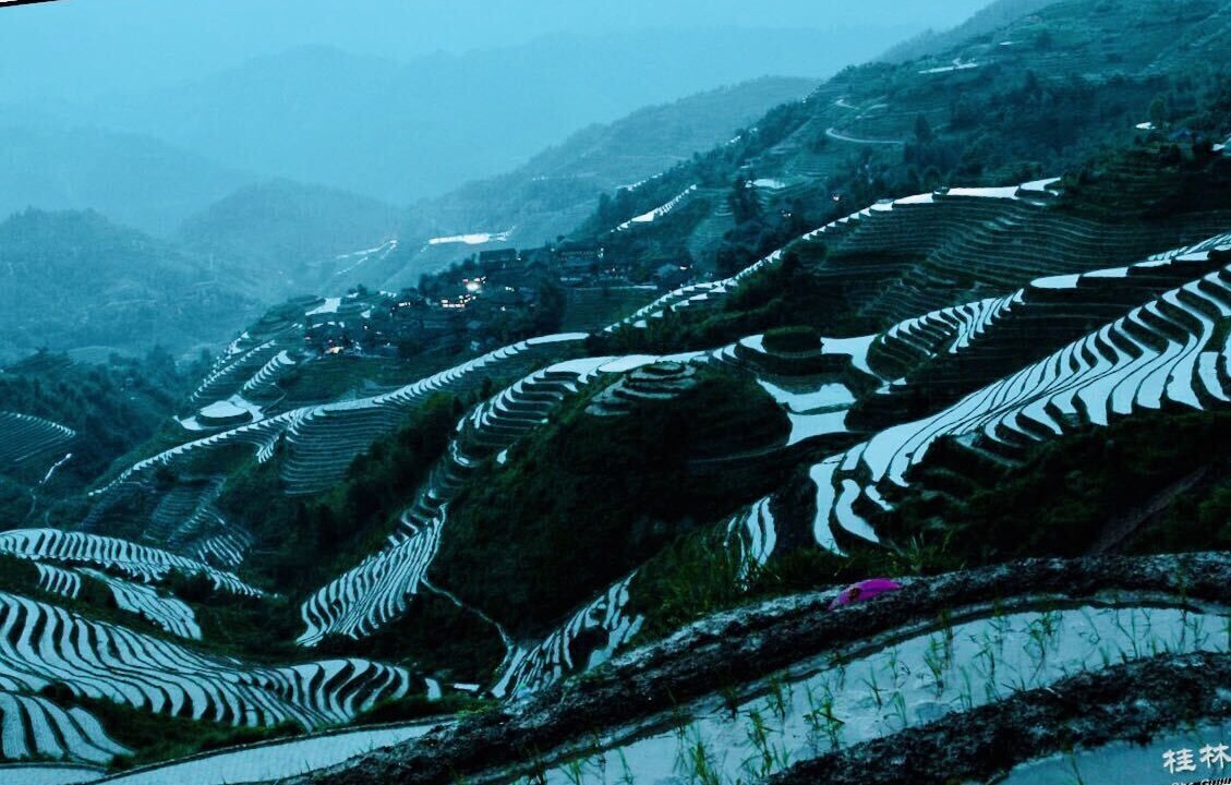 Photo of Others in Xiangshan