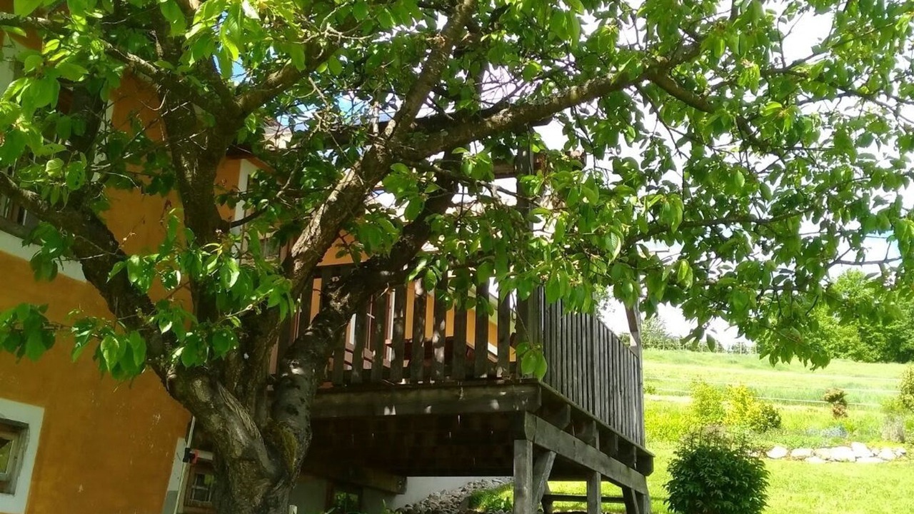 Photo of Outdoor in Pischelsdorf am Kulm