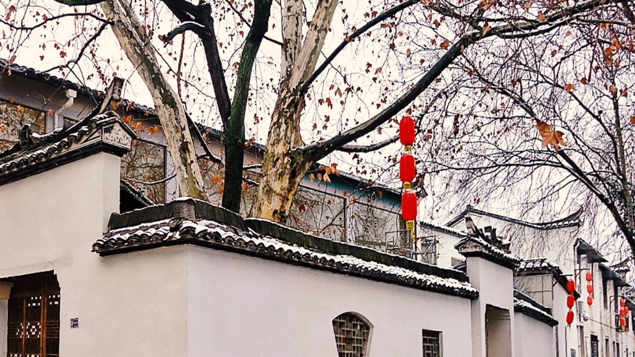 Photo of Outdoor in Pujiang County