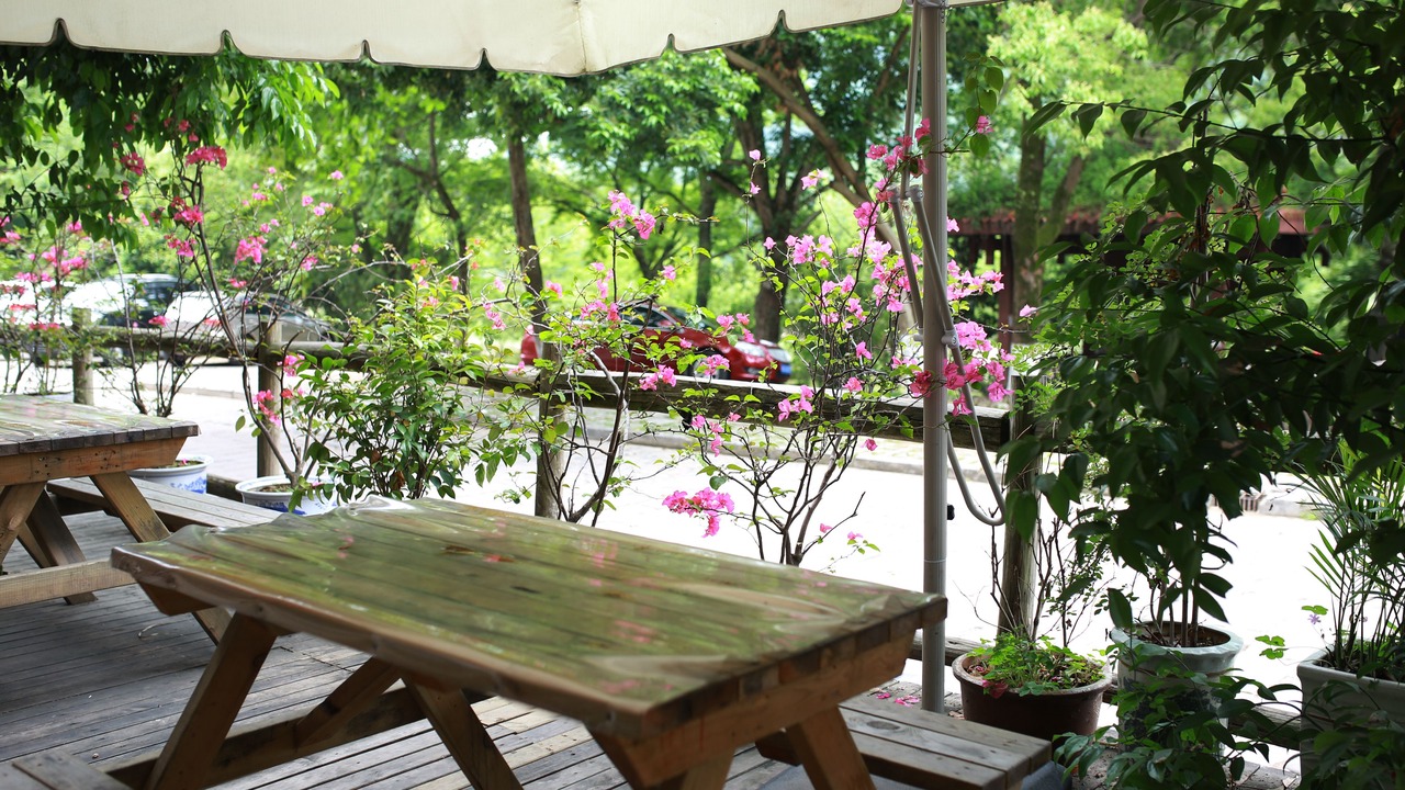 Photo of Outdoor in Wuyishan