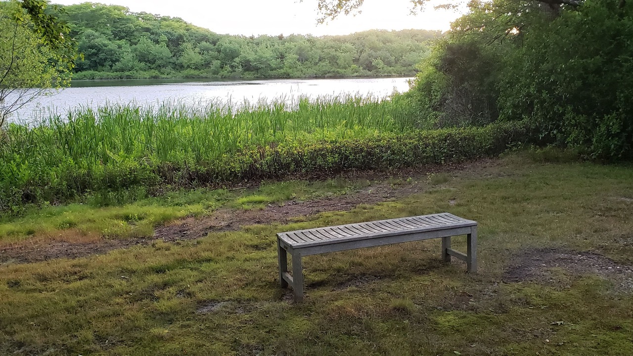Photo of Outdoor in Water Mill