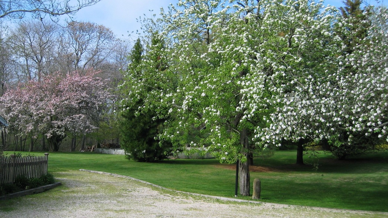 Photo of Outdoor in Water Mill