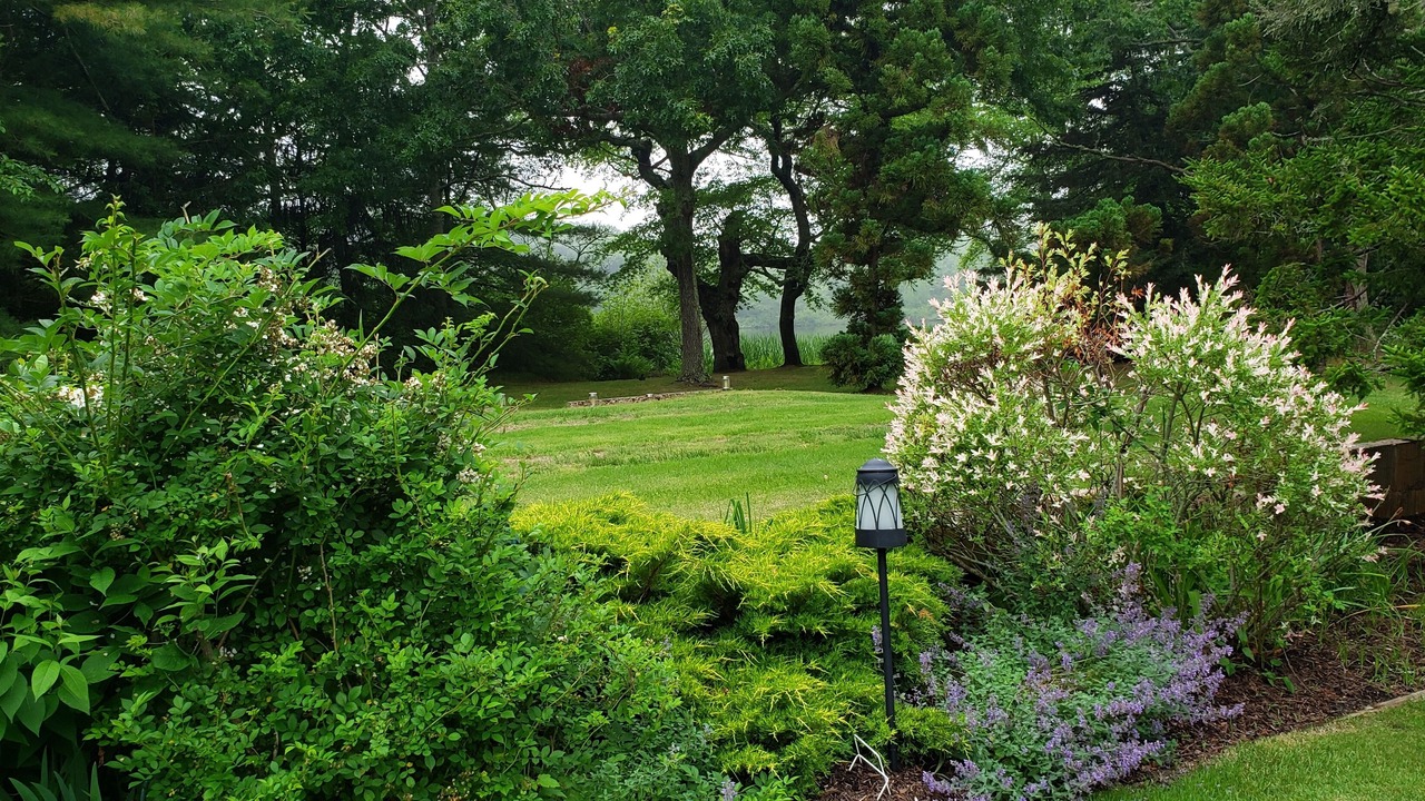 Photo of Outdoor in Water Mill