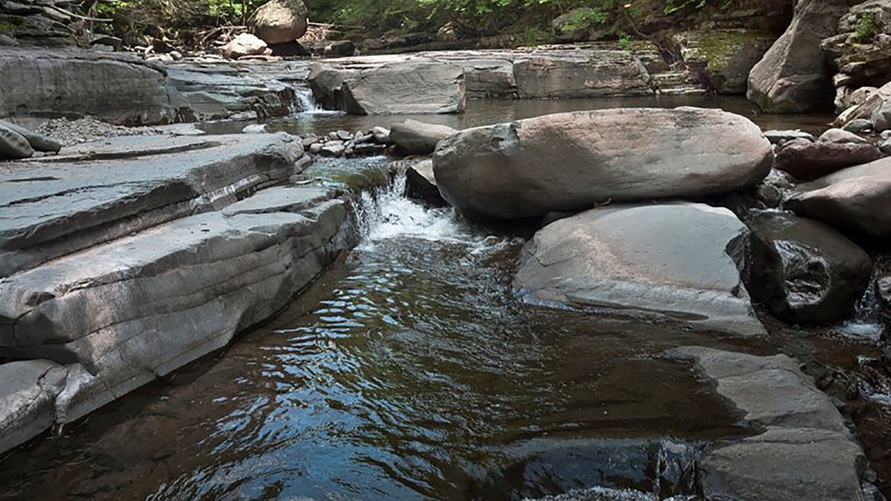 Photo of Outdoor in Lake Hill