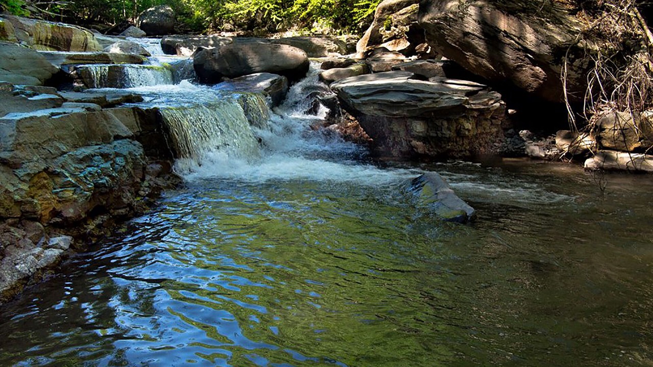 Photo of Outdoor in Lake Hill
