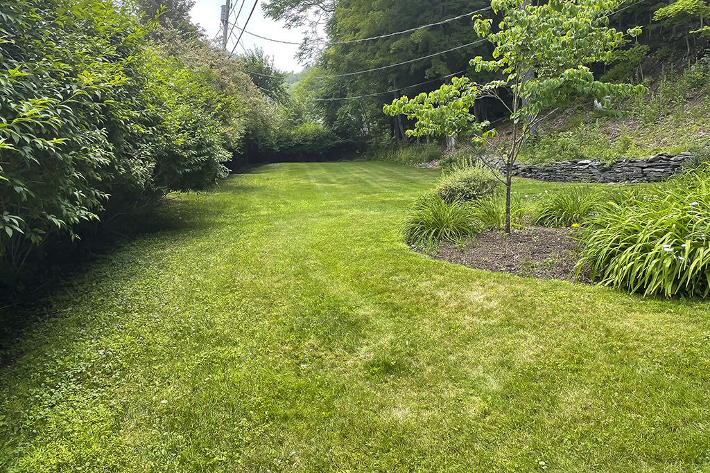 Photo of Outdoor in Lake Hill