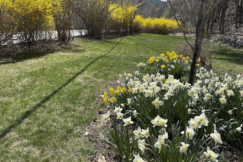 Photo of Outdoor in Lake Hill
