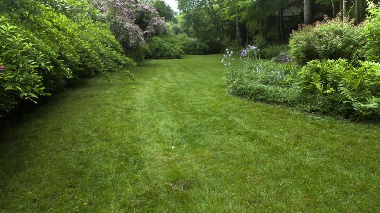Photo of Outdoor in Lake Hill