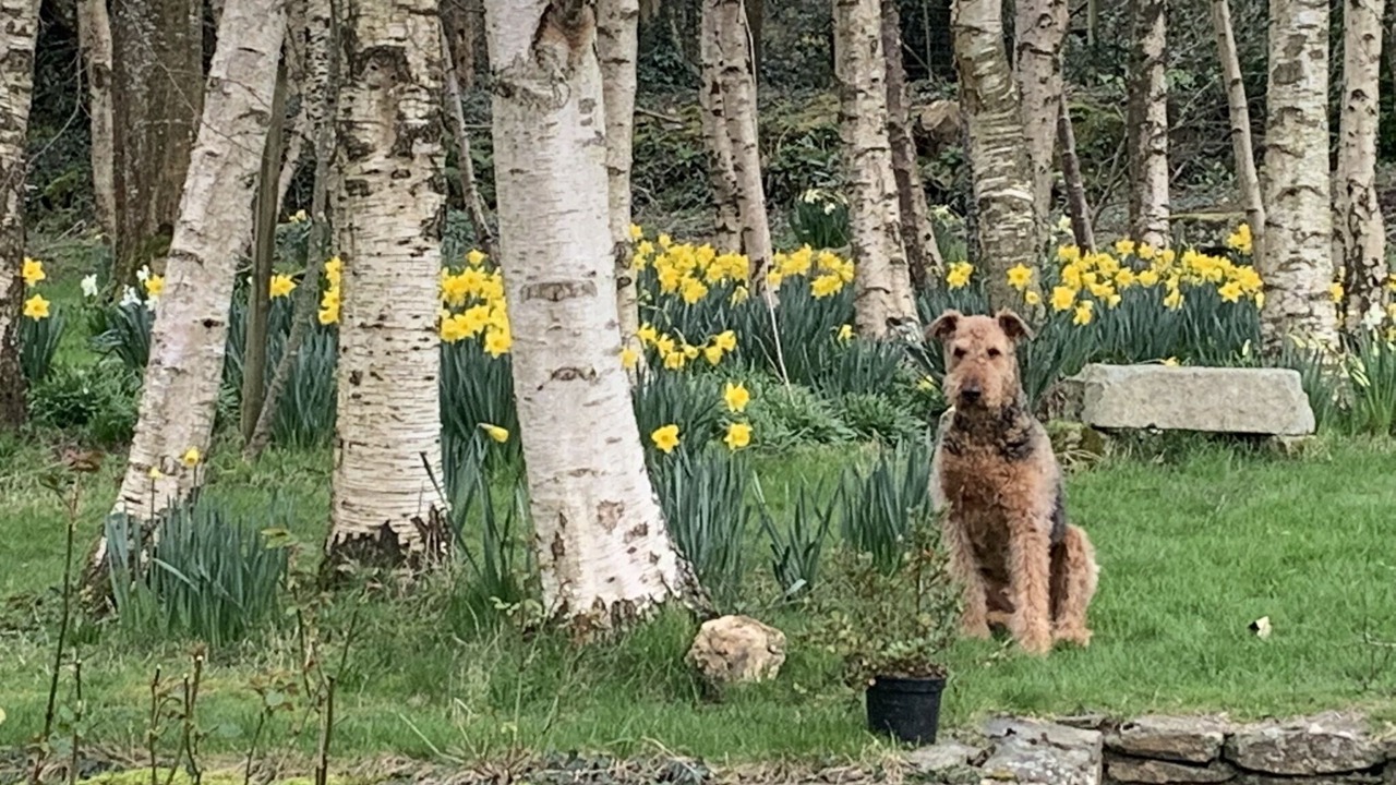 Photo of Others in Aughrim