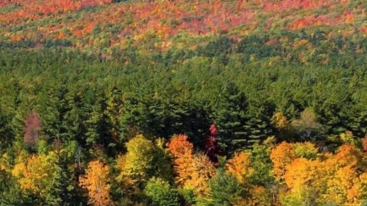 Photo of Outdoor in Wilmington