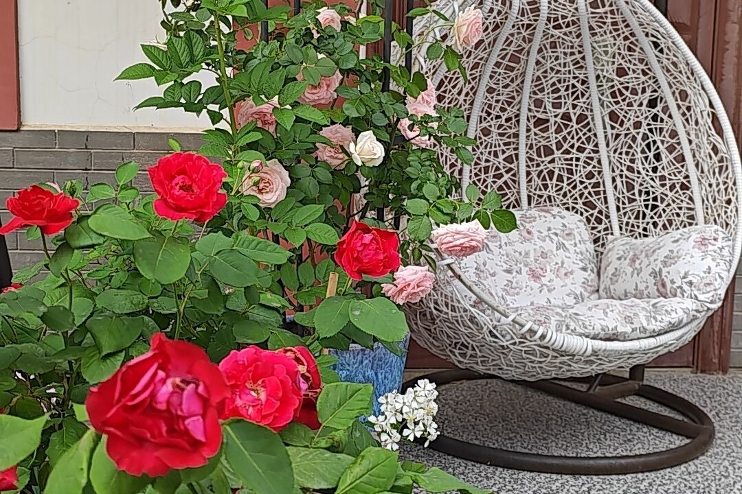 Photo of Patio Balcony in Yongding