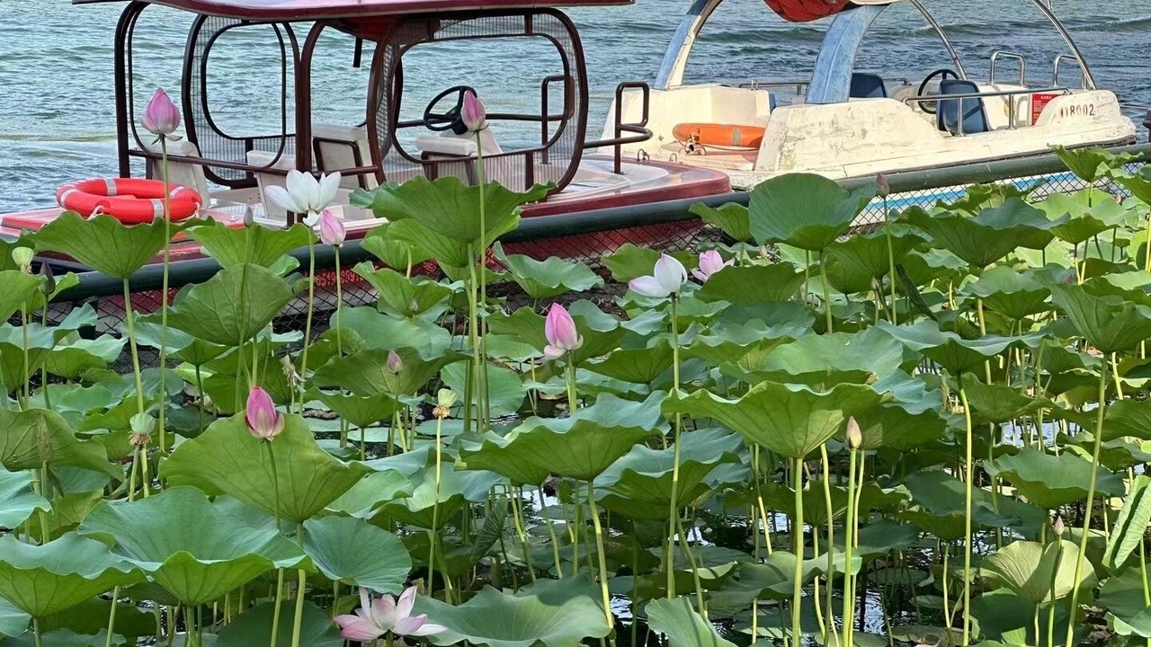 Photo of Others in Dongcheng