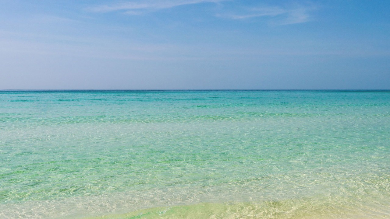 Photo of Others in Fort Walton Beach - Destin