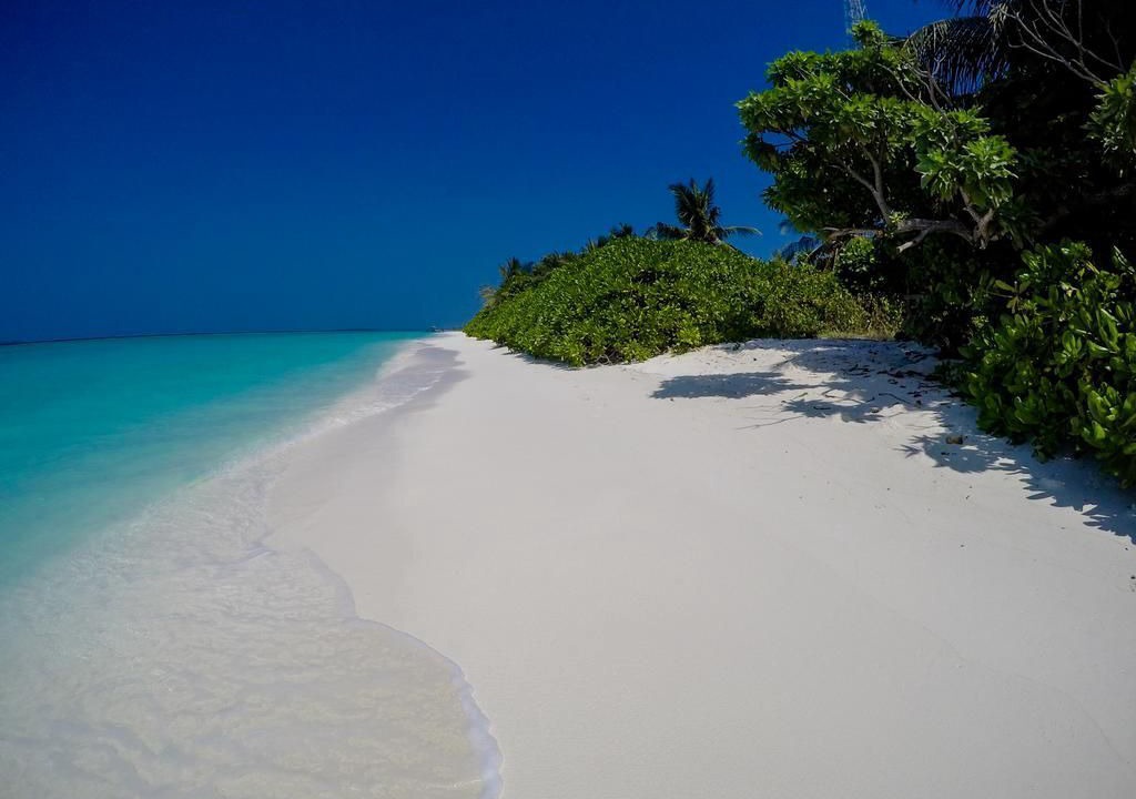 Photo of Others in Hanimaadhoo