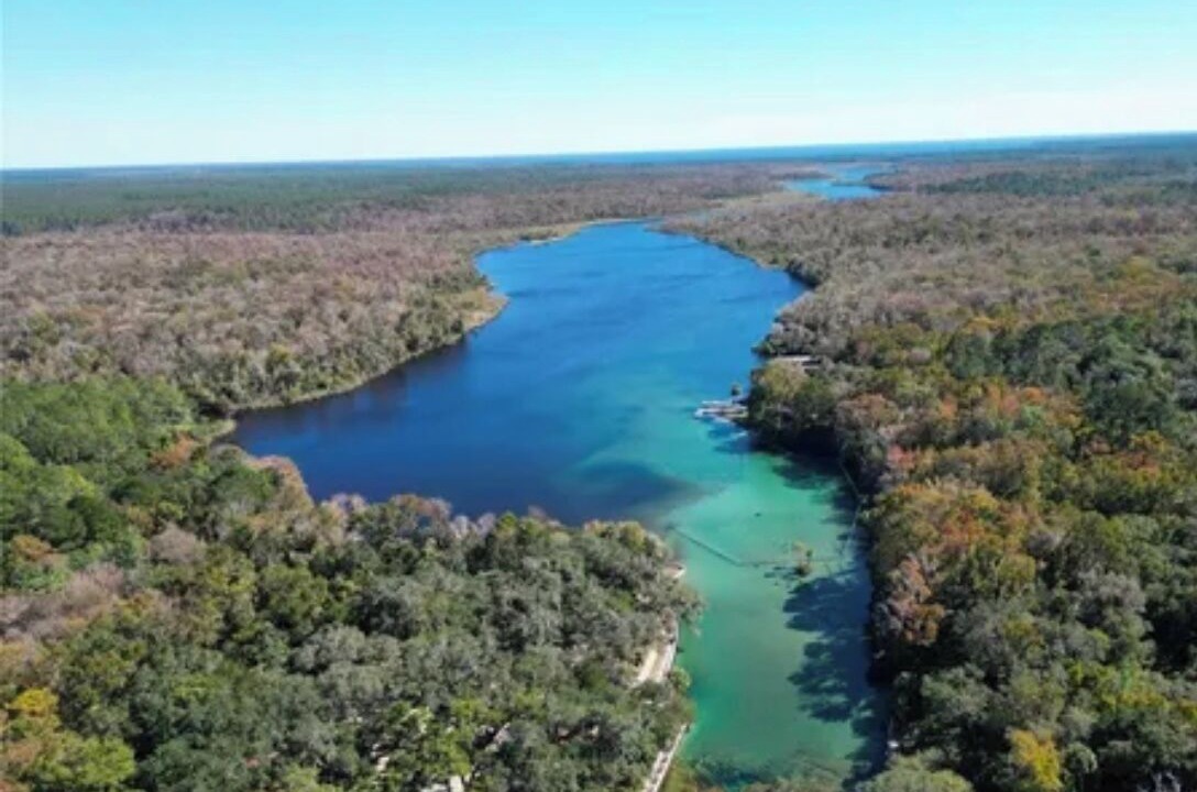 Photo of Outdoor in Salt Springs