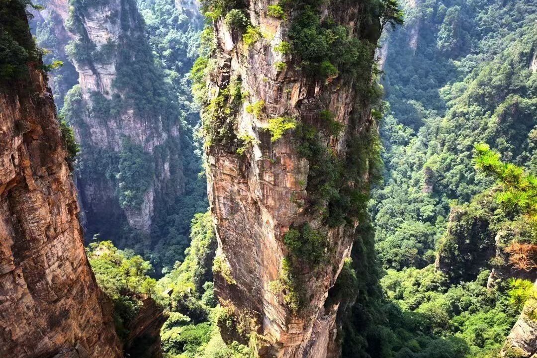 Photo of Others in Wulingyuan