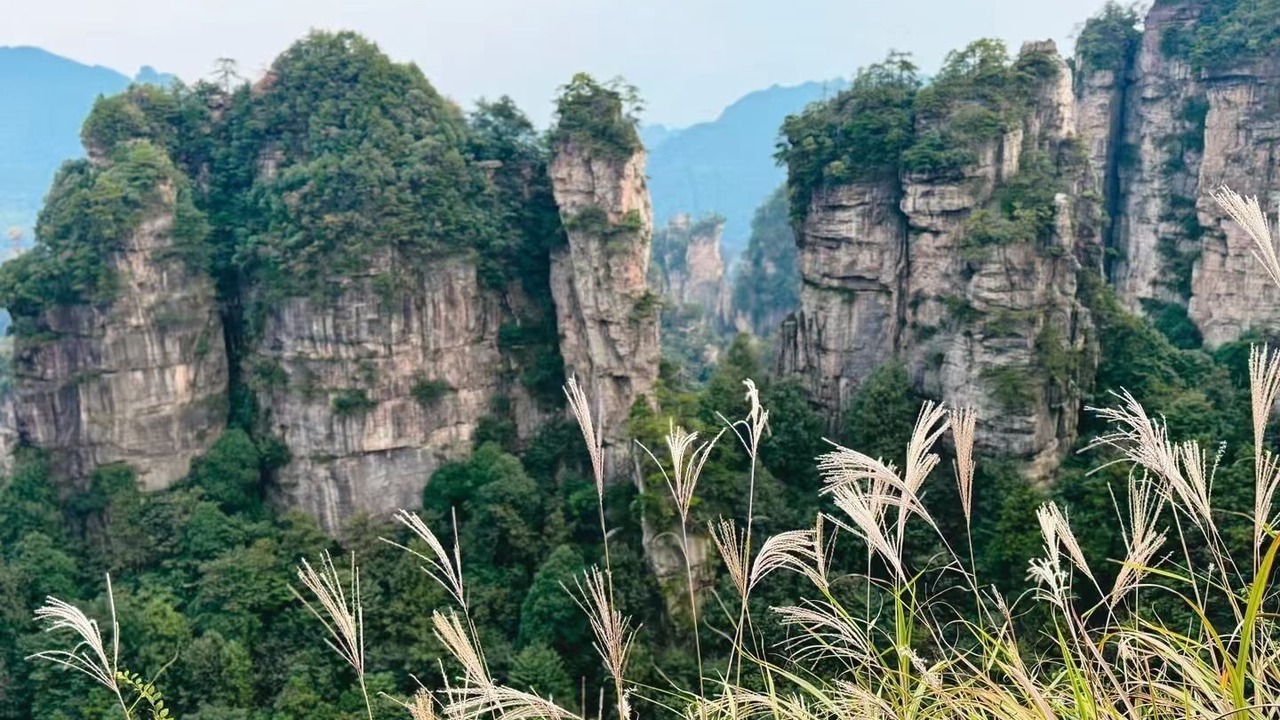 Photo of Others in Wulingyuan
