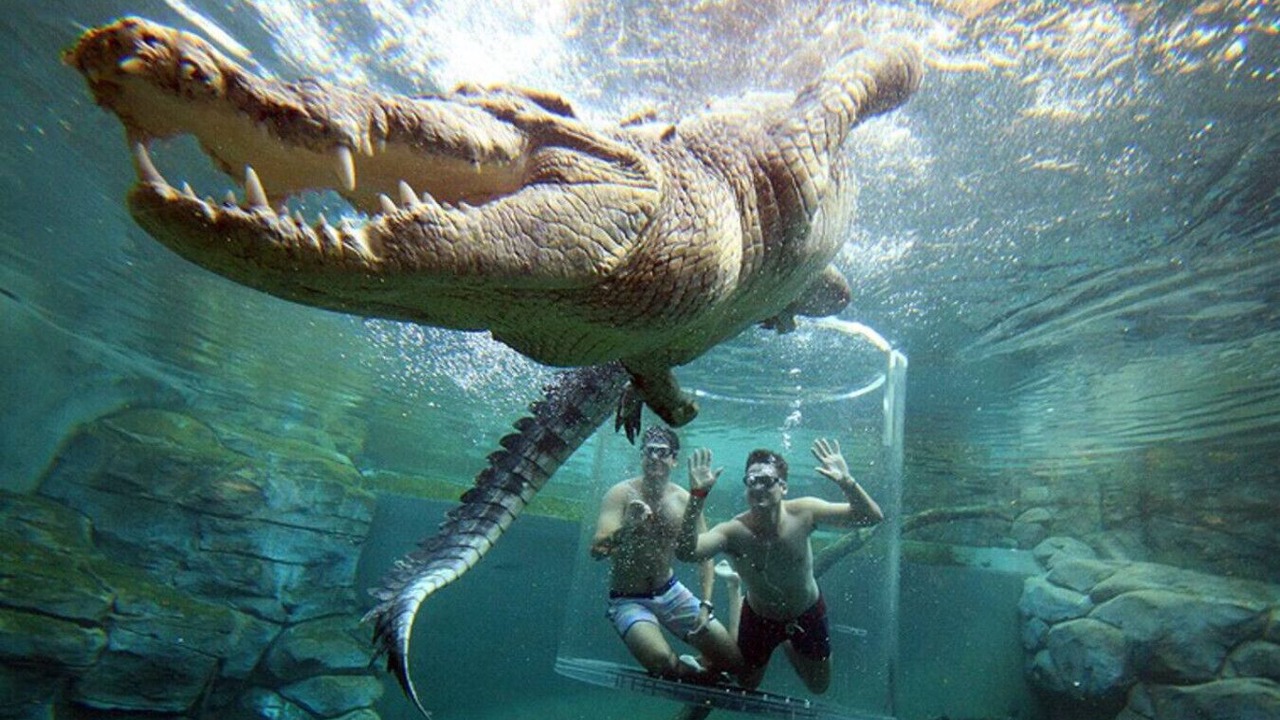 Photo of Others in Cullen Bay