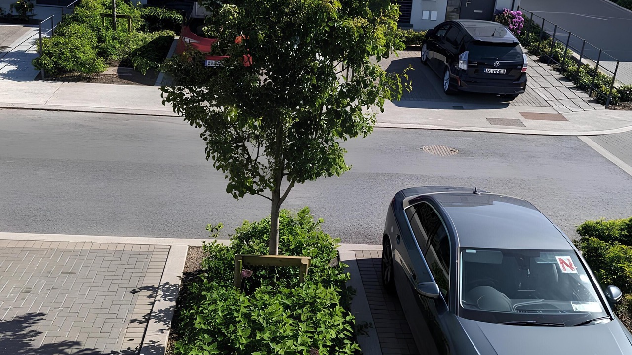 Photo of Outdoor in Dublin