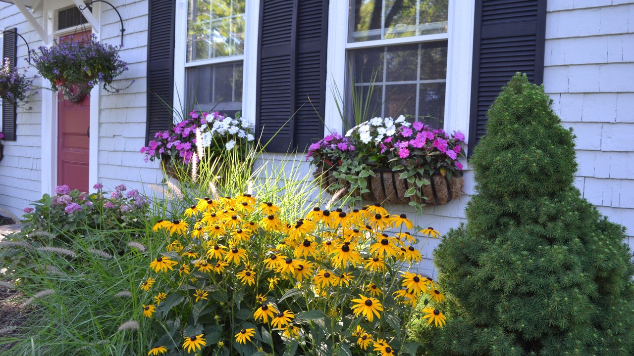 Photo of Outdoor in East Orleans