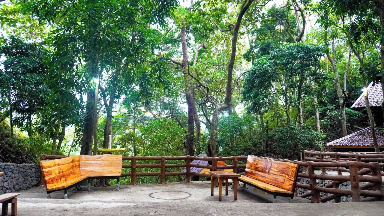Photo of Outdoor in Tuba