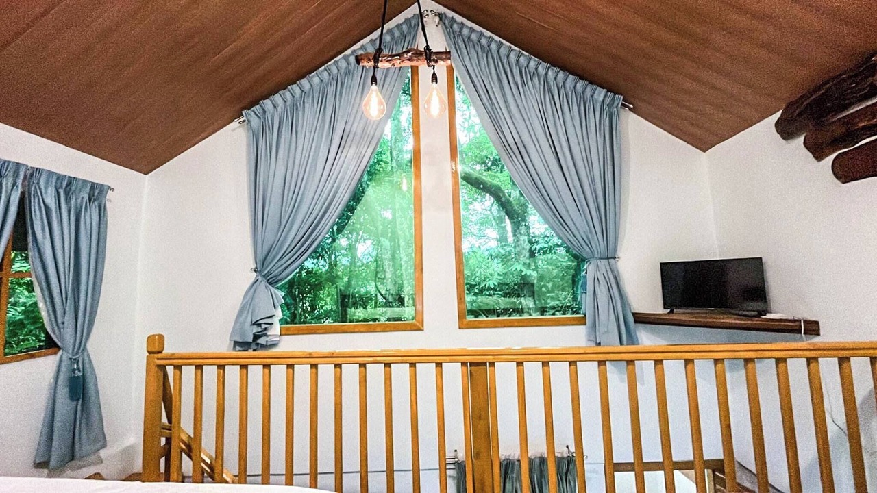 Photo of Outdoor in Tuba