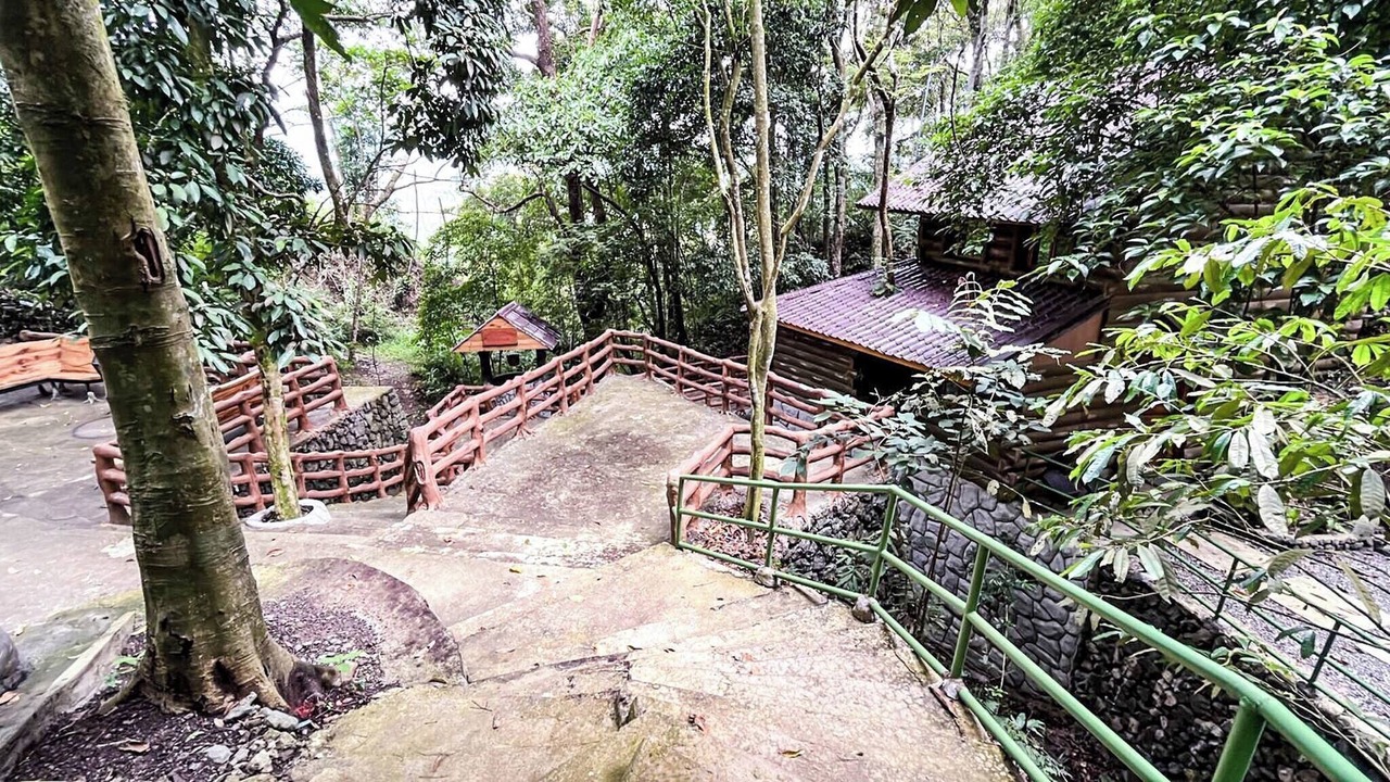 Photo of Outdoor in Tuba