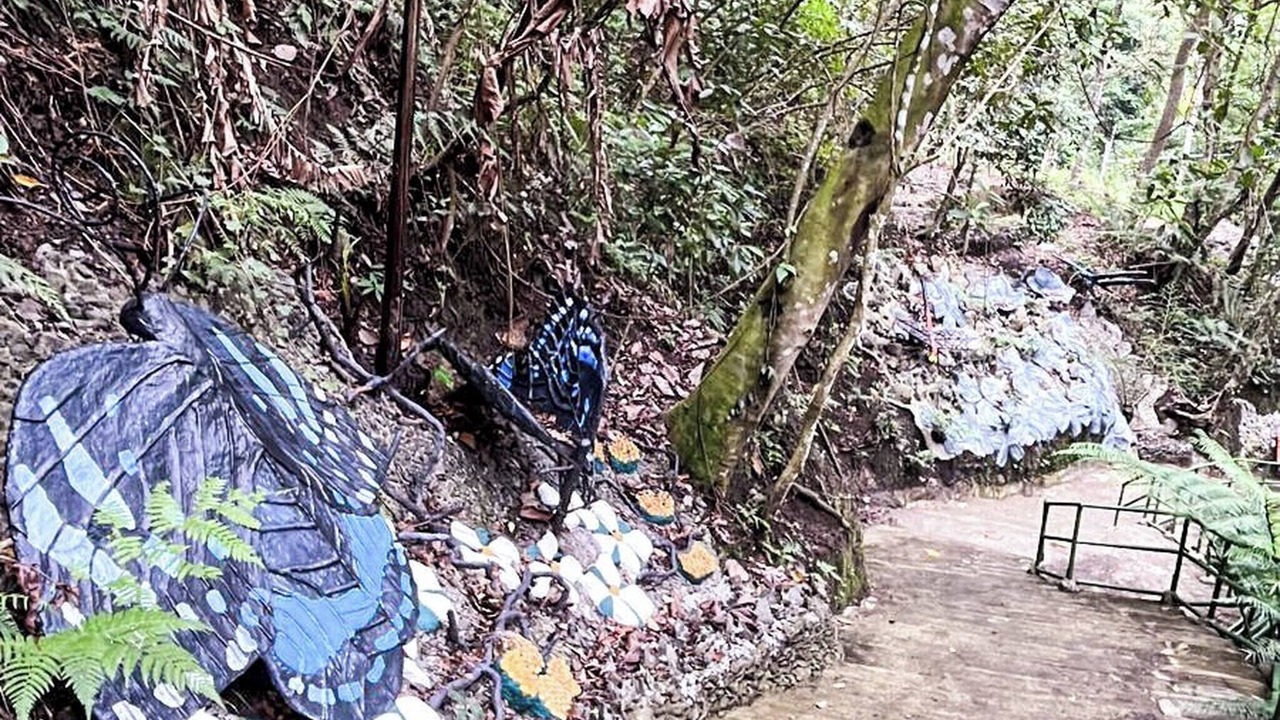 Photo of Outdoor in Tuba