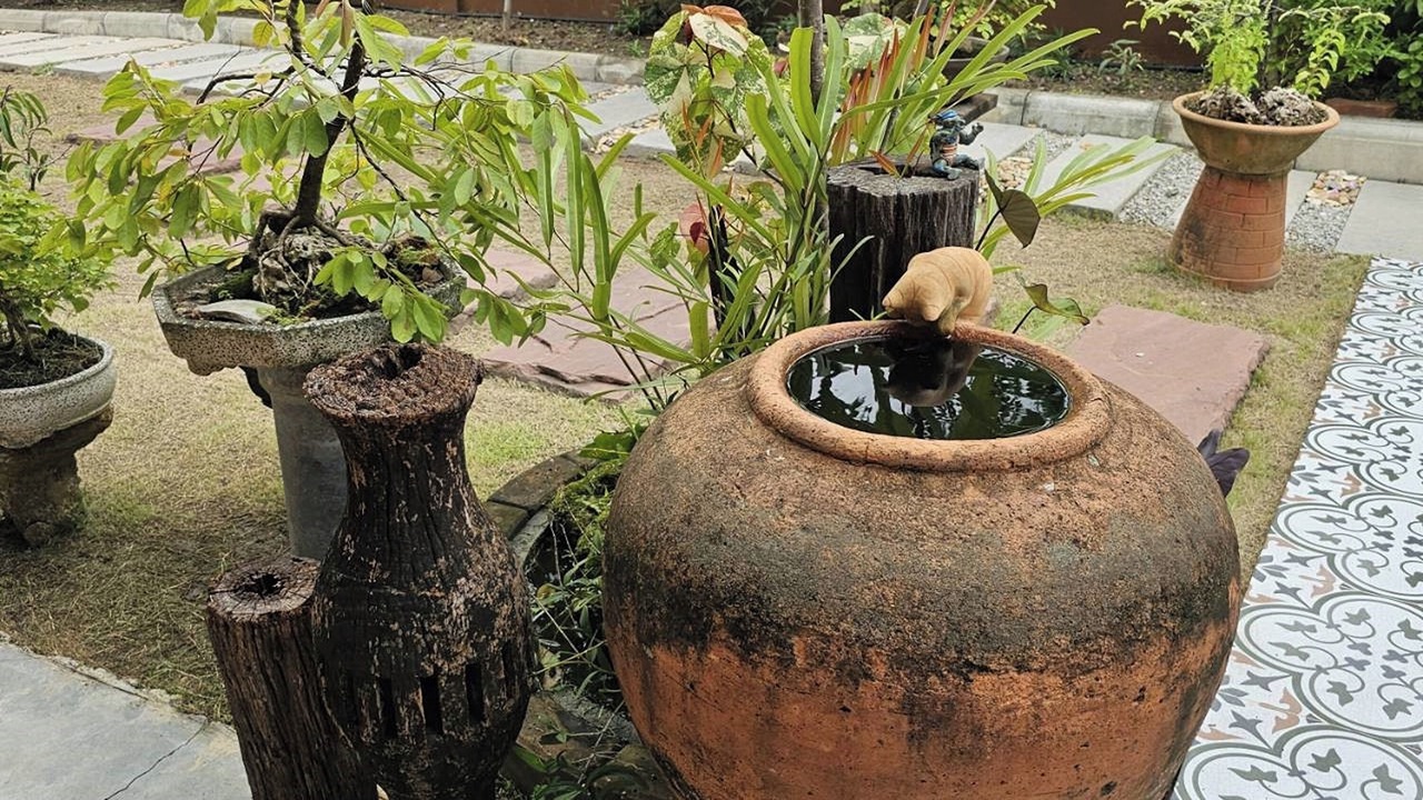 Photo of Outdoor in Taling Chan