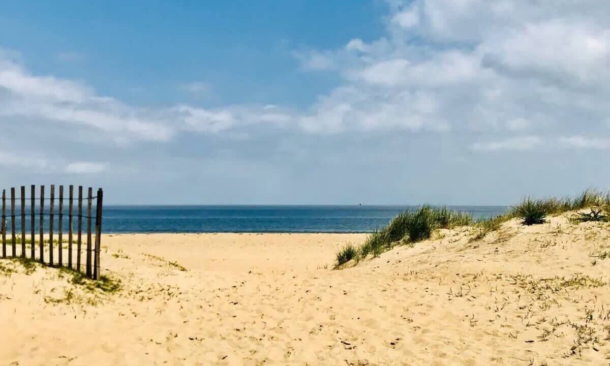 Photo of Others in Chic's Beach