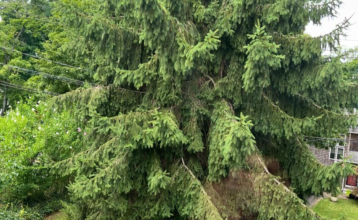 Photo of Outdoor in Sound Beach
