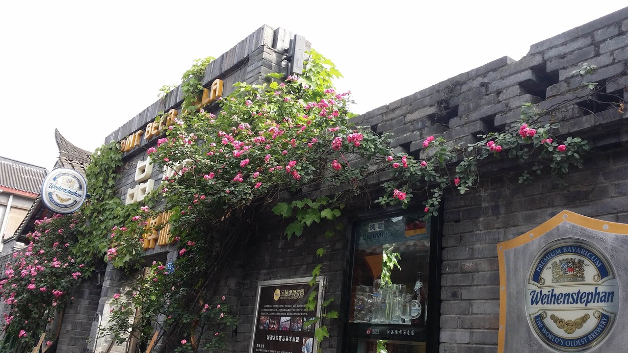 Photo of Others in Dujiangyan