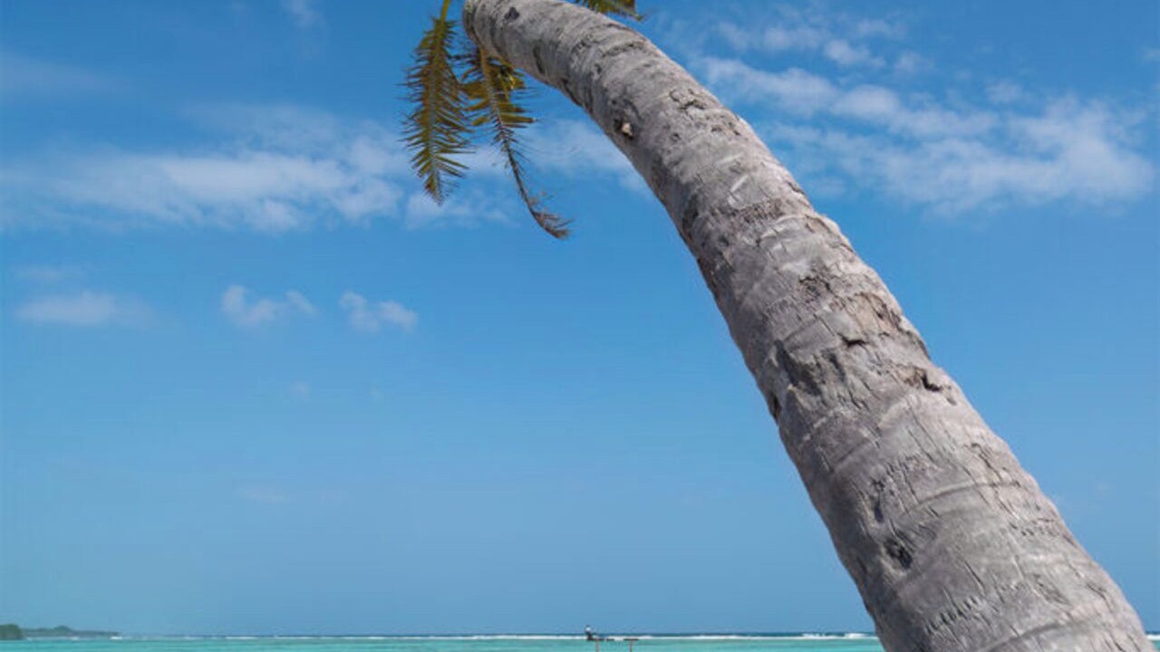 Photo of Others in Huraa