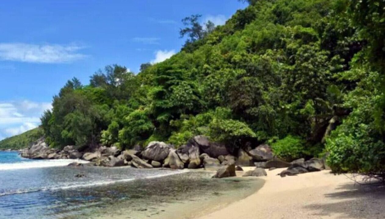 Photo of Others in Beau Vallon