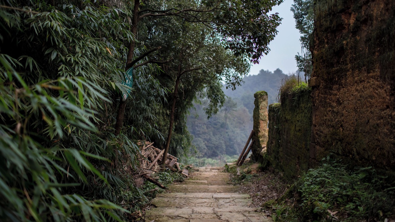 Photo of Outdoor in Shapingba